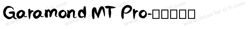 Garamond MT Pro字体转换